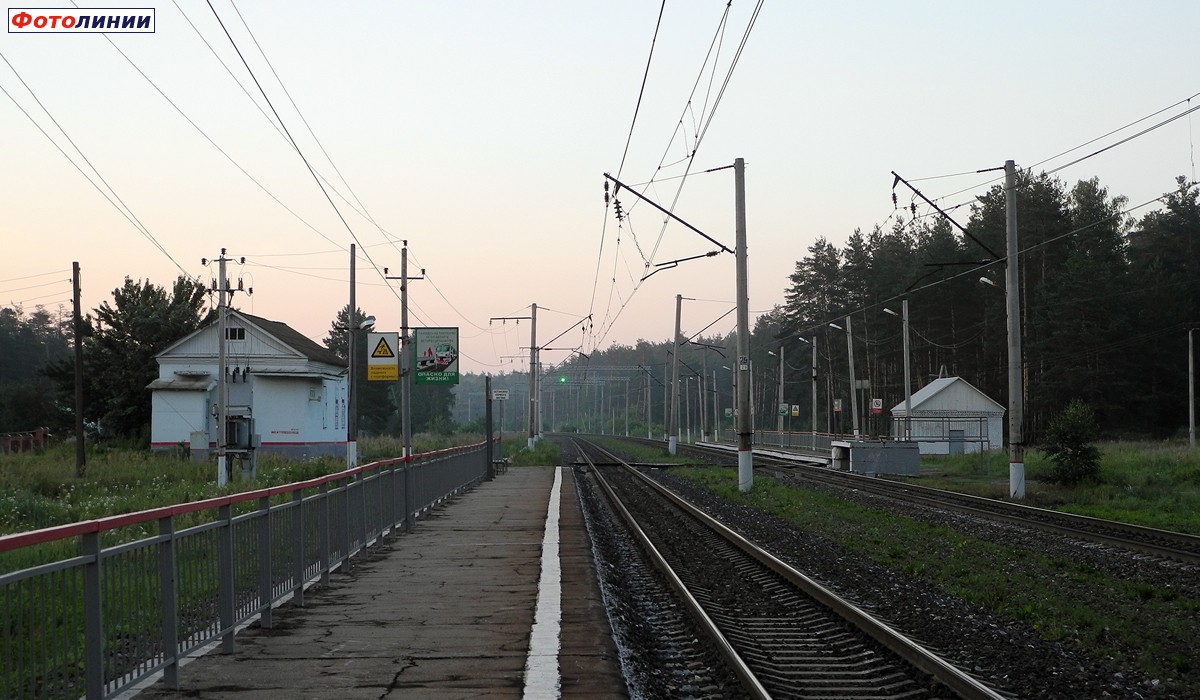 Вид с платформы № 1 в сторону Рязани