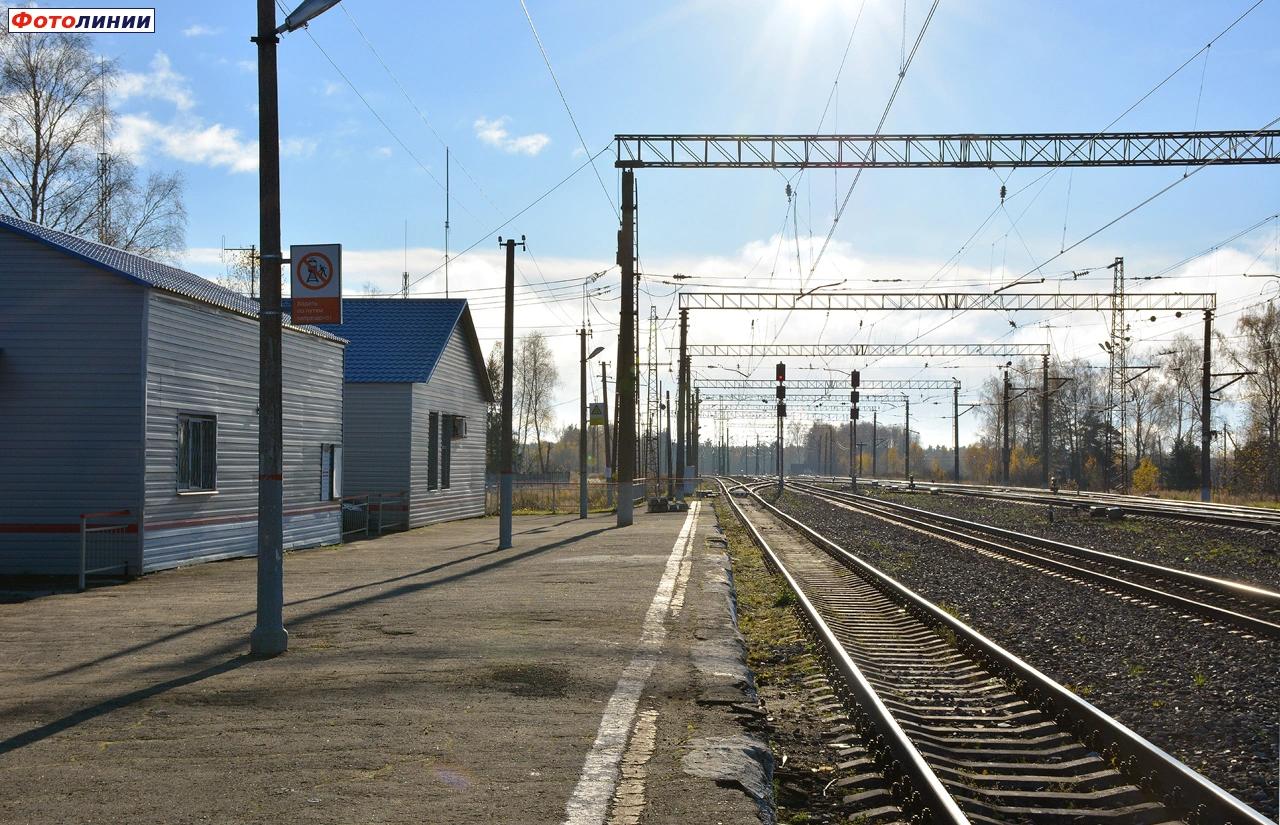 Вид в сторону Орехово-Зуево с первой платформы