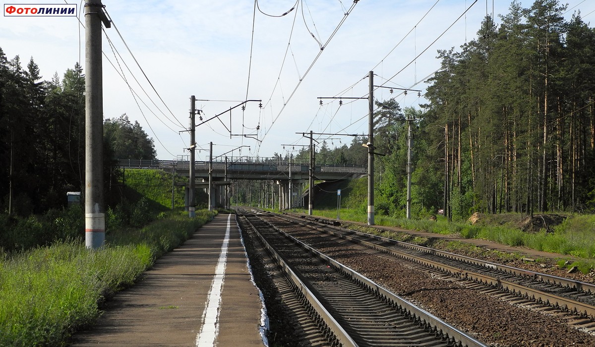 Вид с платформы в сторону Орехово-Зуево