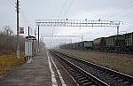 станция Виленки: Вид с платформы в сторону Узуново