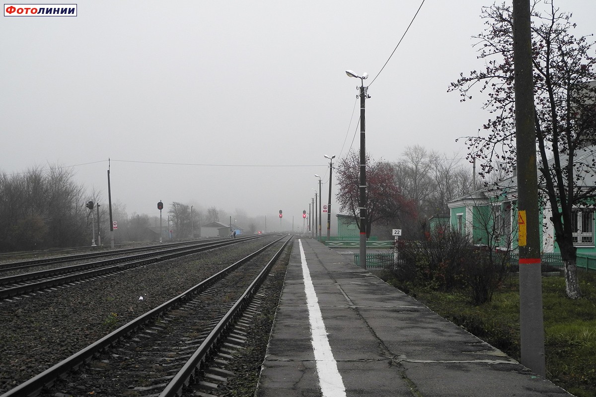 Вид с платформы в сторону Касторной