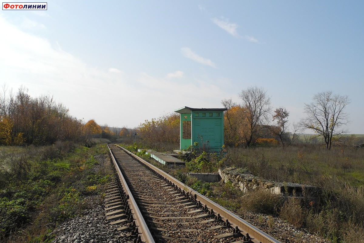 Вид в сторону ст. Охочевка