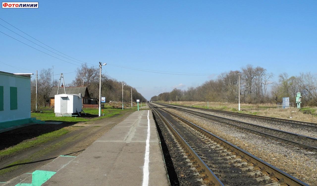 Вид с платформы в сторону Брянска