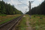 о.п. 176 км: Вид платформы в сторону Брянска