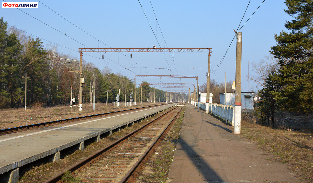 Вид с недействующей платформы в сторону Жуковки
