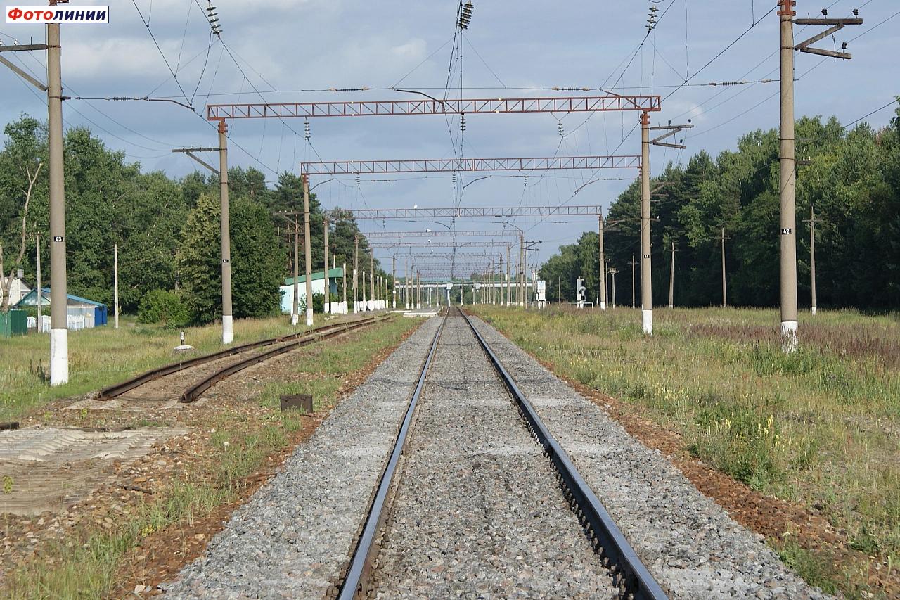 Вид со стороны станции Сельцо