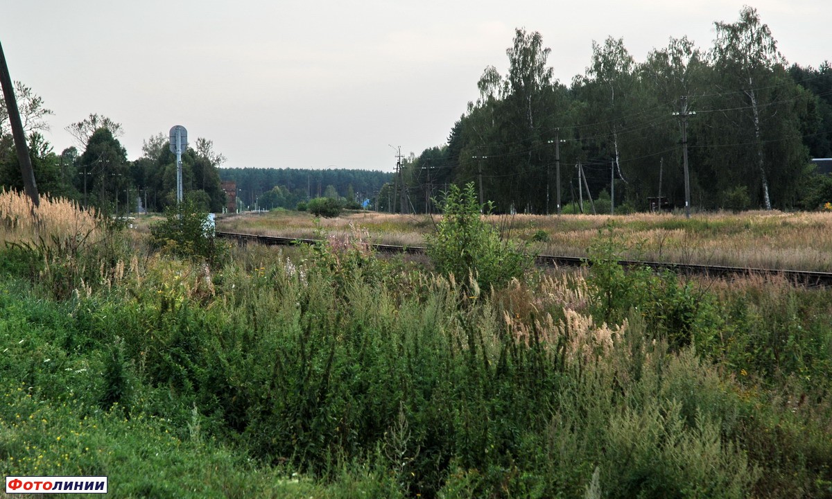 Вид территории бывшей станции в торону Жуковки
