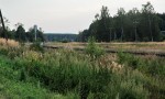 о.п. Олсуфьево: Вид территории бывшей станции в торону Жуковки