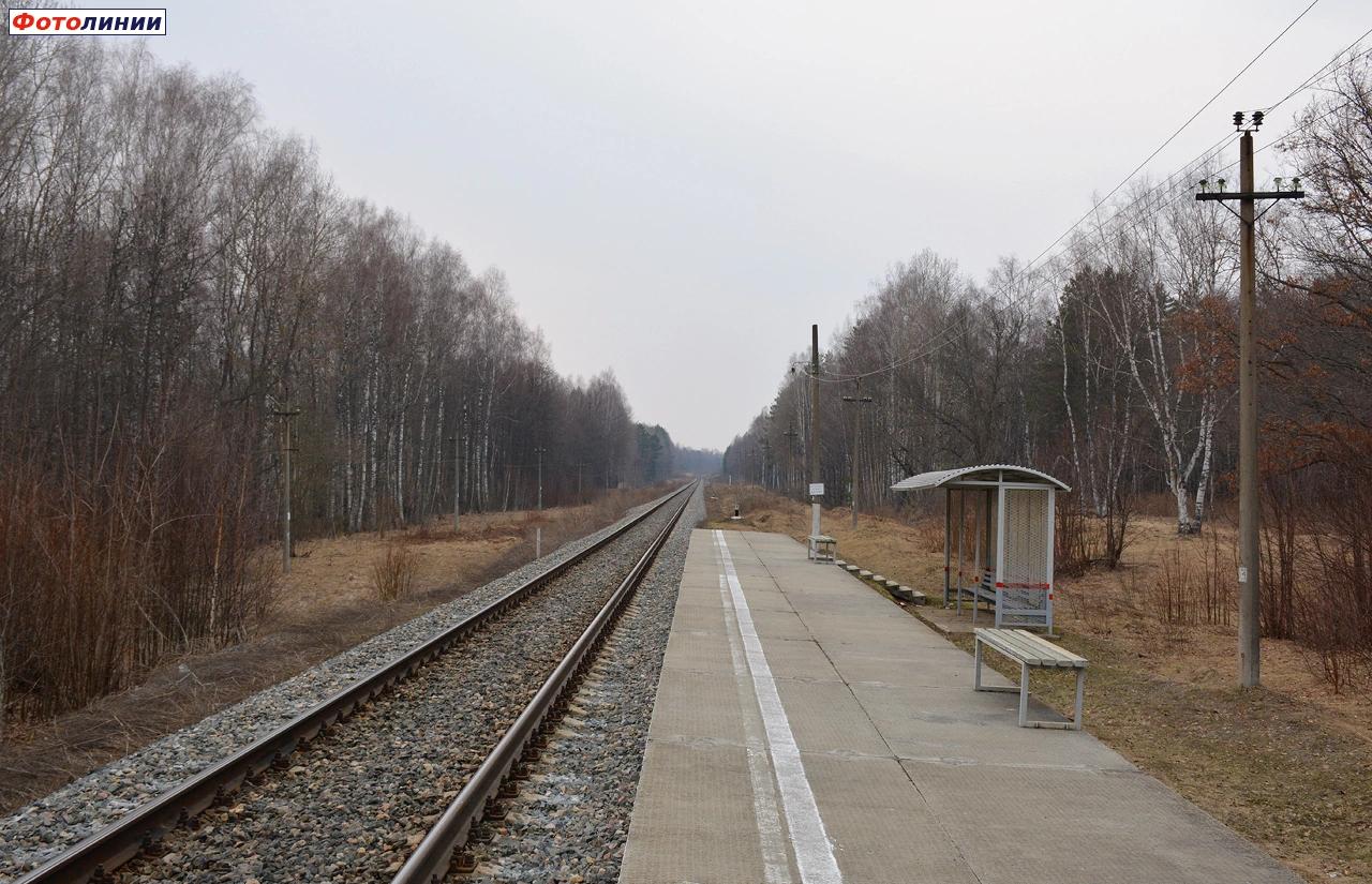 Вид с платформы в сторону Рославля