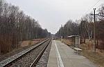 о.п. 222 км: Вид с платформы в сторону Рославля