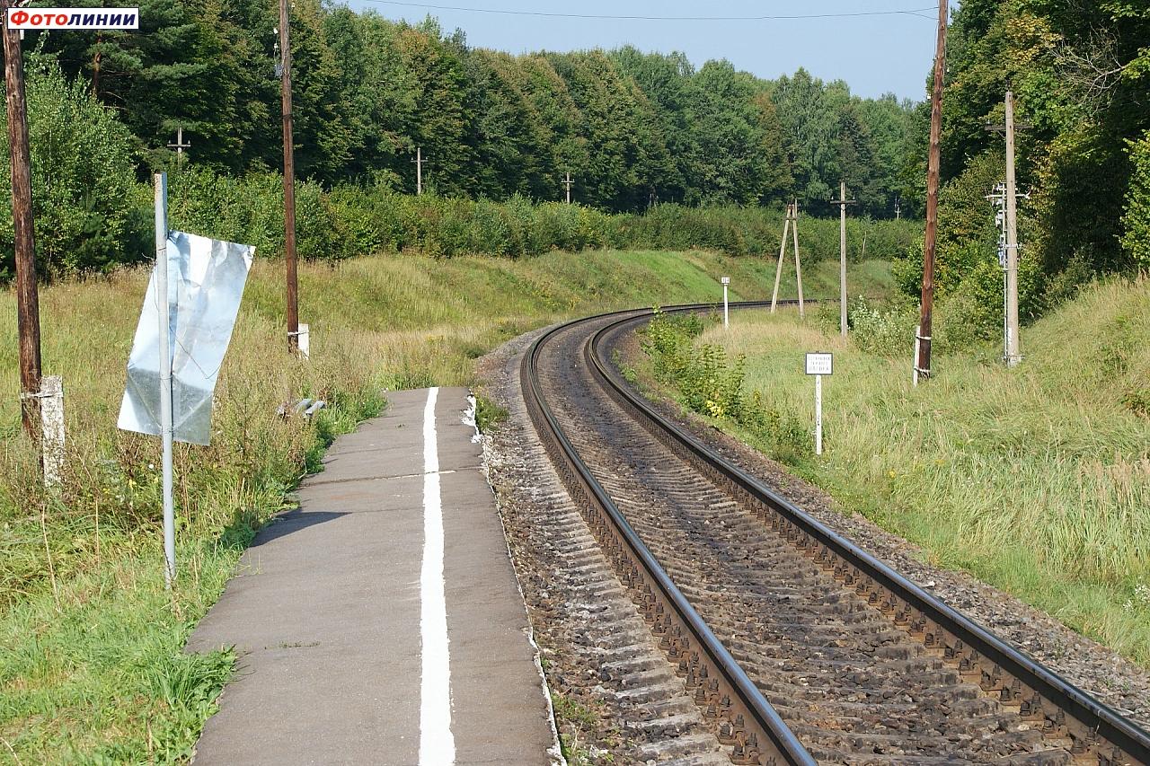 Вид в сторону станции Рековичи