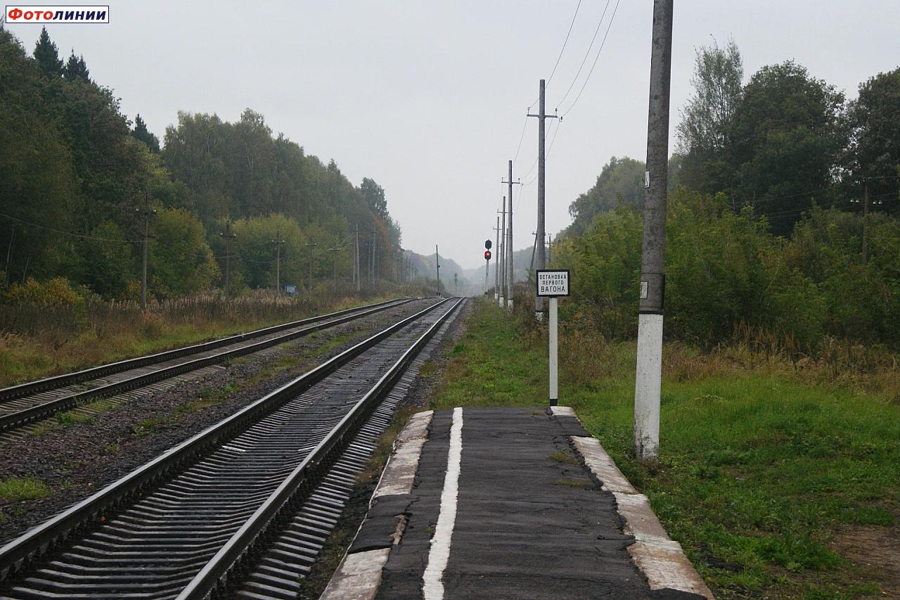 Вид в сторону станции Дубровка