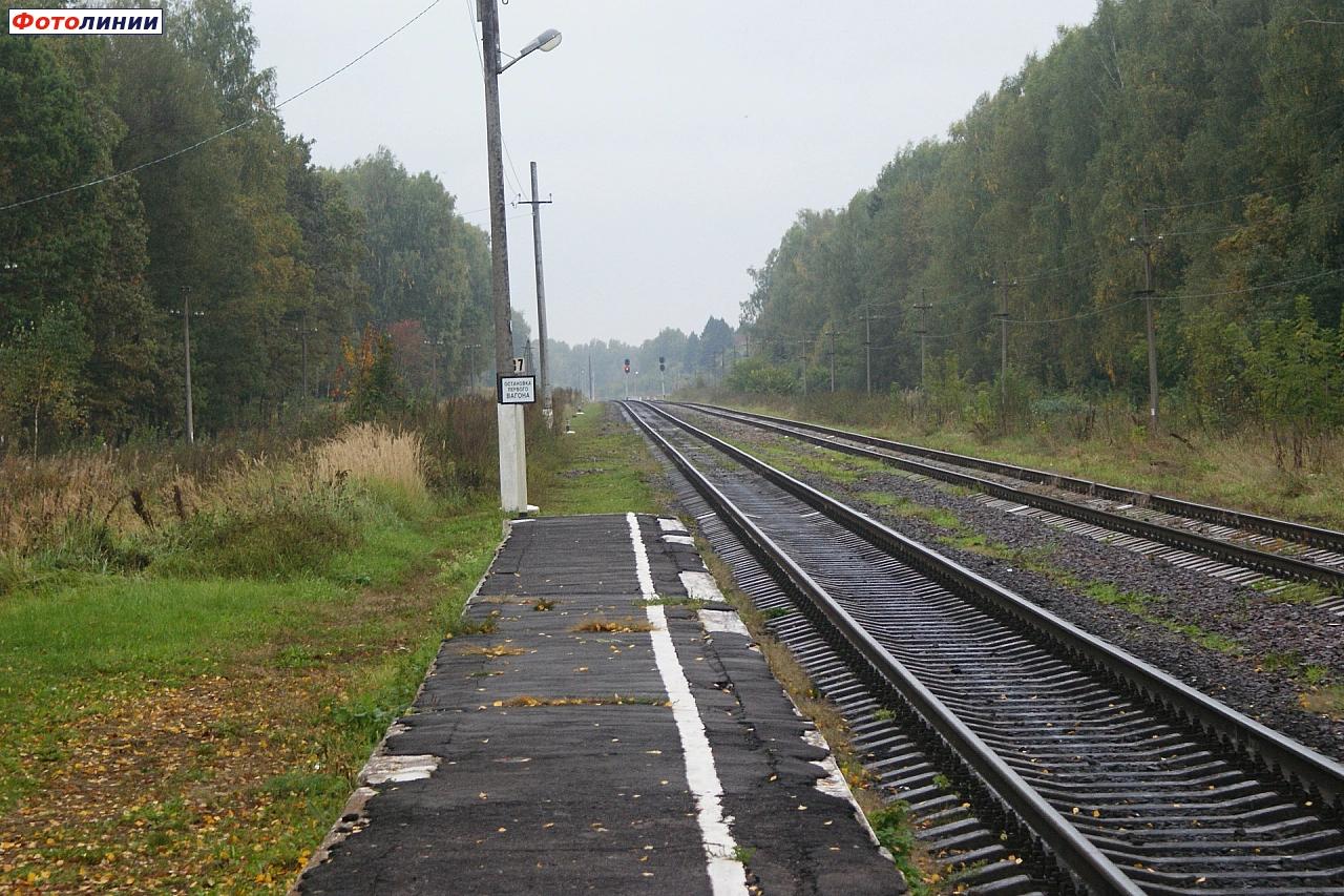 Вид в сторону станции Жуковка