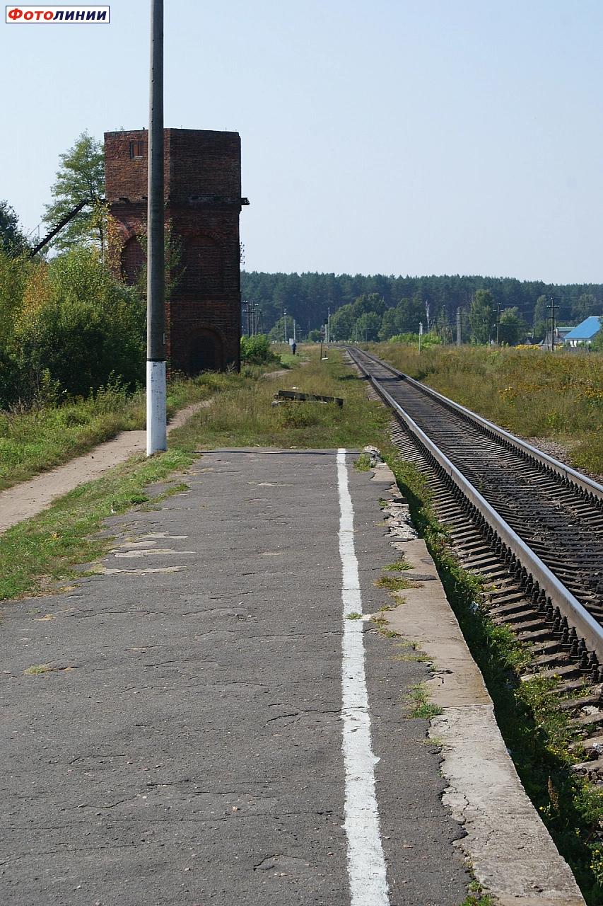 Вид в сторону станции Жуковка