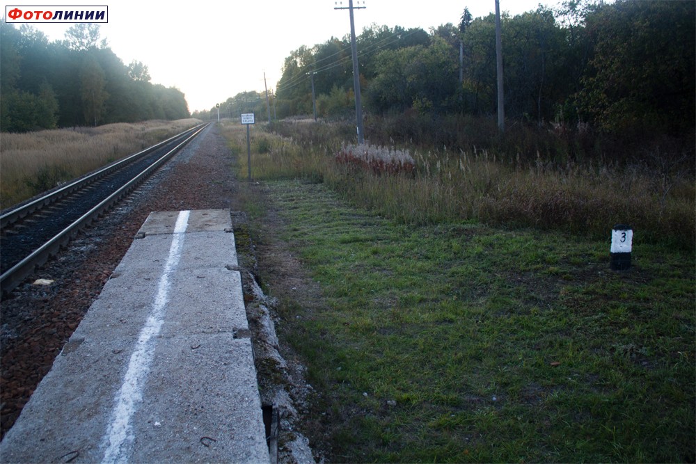 Остатки старых путей бывшей станции