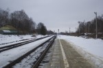 станция Павлиново: Вид с платформы в направлении Ельни
