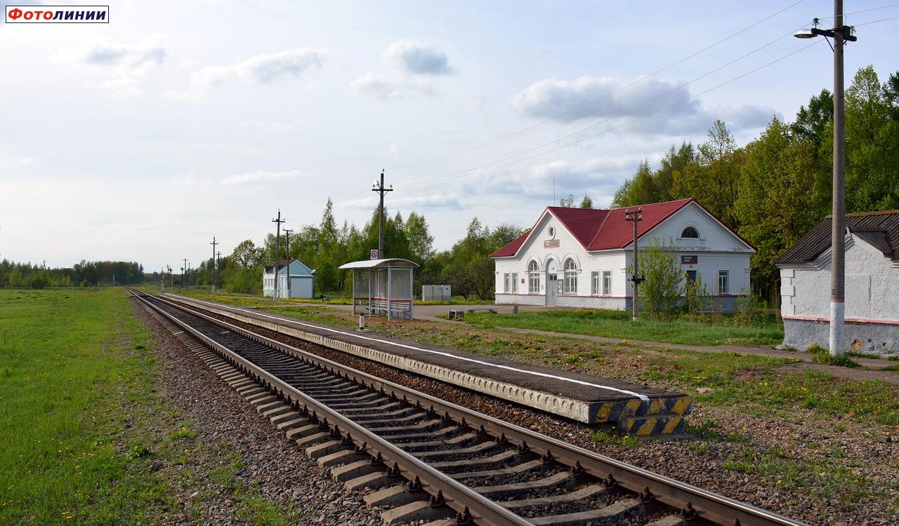 Вид в сторону Смоленска