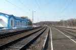 станция Живодовка: Вид в сторону Брянска