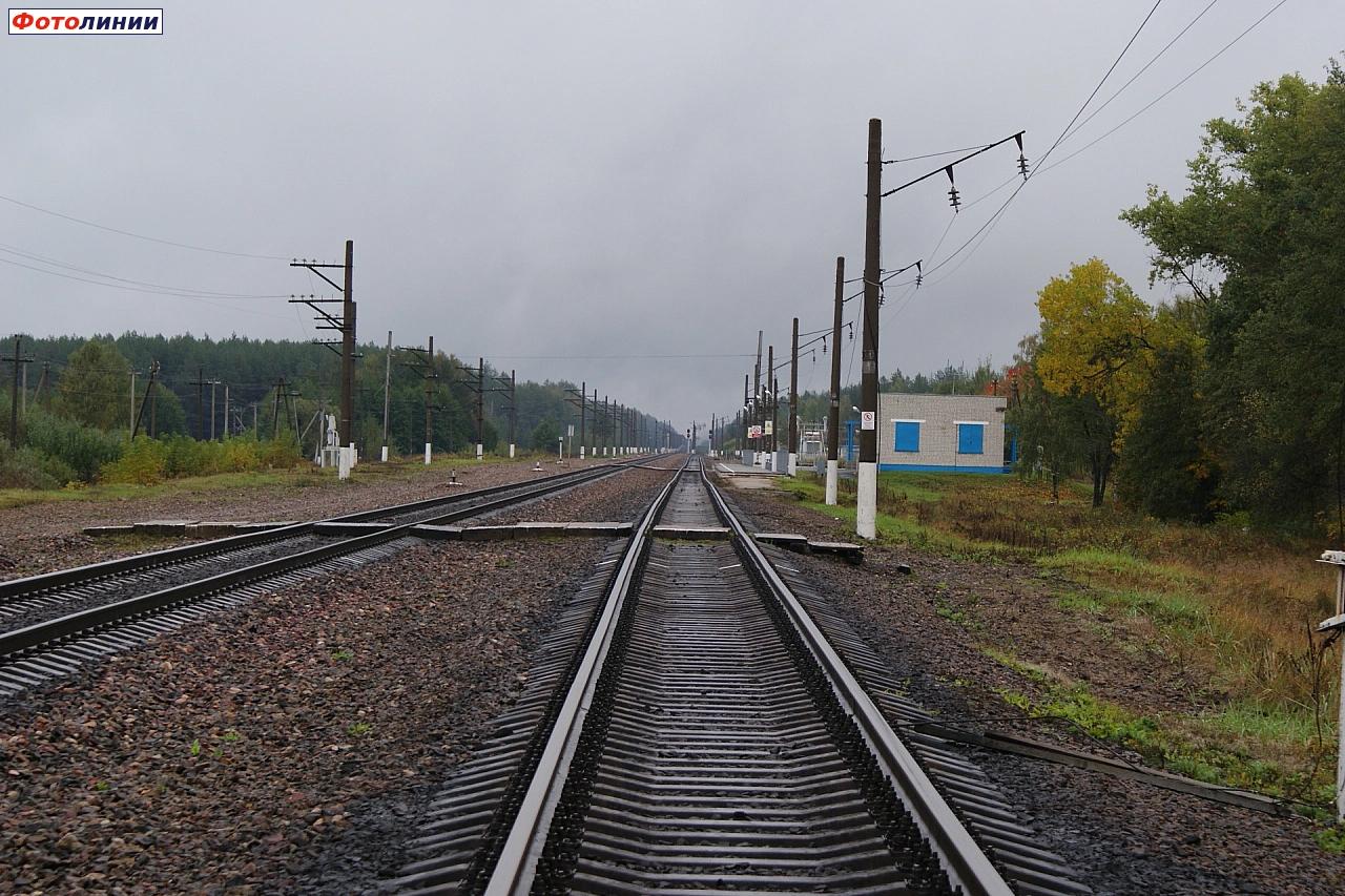 Вид из четной горловины