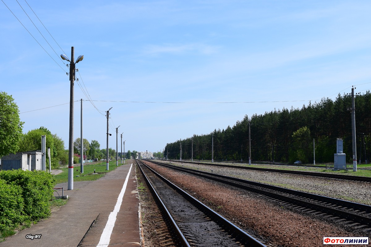 Вид станции в сторону Новозыбкова