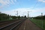 о.п. 443 км: Вид с платформы оршанского направления