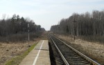 о.п. 11 км: Вид с платформы в сторону Вязьмы