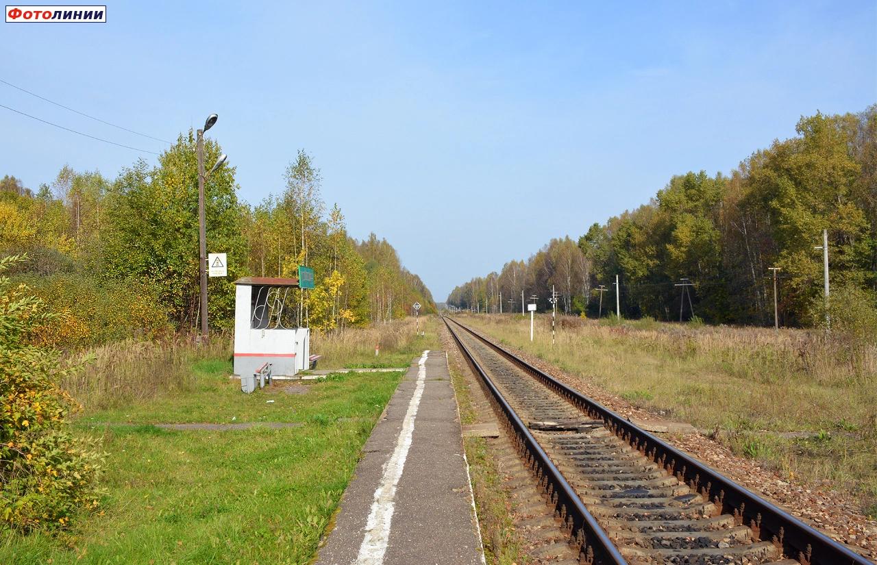 Вид с платформы в сторону Вязьмы
