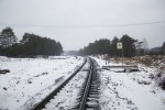 о.п. 128 км: Вид с платформы в направлении Занозной