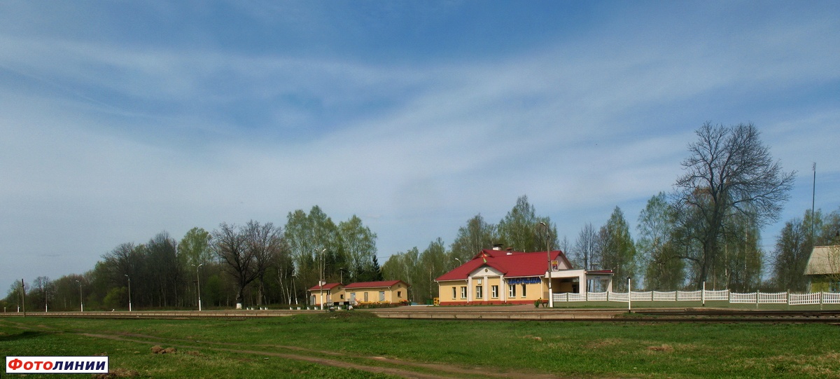 Вид на станцию со стороны деревни
