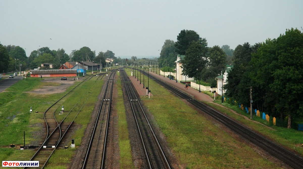 Вид станции в сторону Витебска