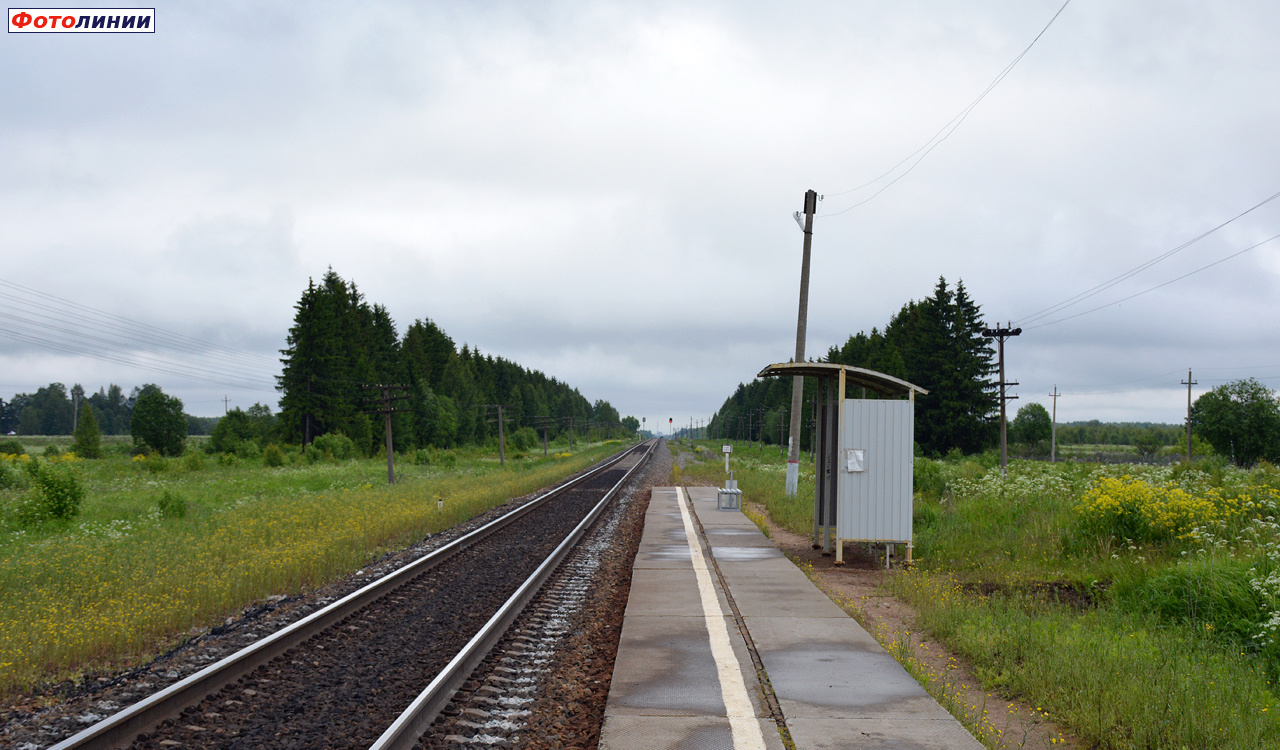 Вид с платформы в сторону Рыбинска