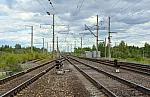 станция Шеломово: Выходные светофоры Ч3, Ч1 (в сторону Вологды)