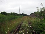 станция Вецумниеки: Заброшенный подъездной путь