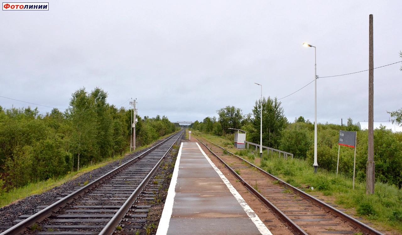 Вид с платформы в сторону Карпогор