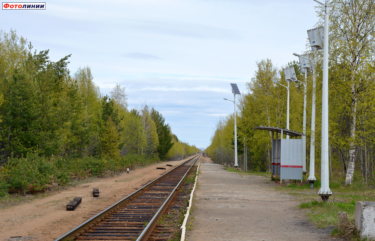 Вид с платформы в сторону Северодвинска