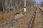 блокпост 31 км: Остатки фундамента бывшего входного светофора
