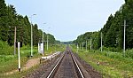 платформа 323 км: Вид в сторону Рыбинска