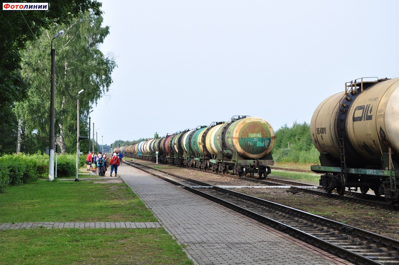 Вид в сторону Полоты