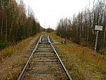 станция Троицко-Печорск: Подъездной путь леспромхоза