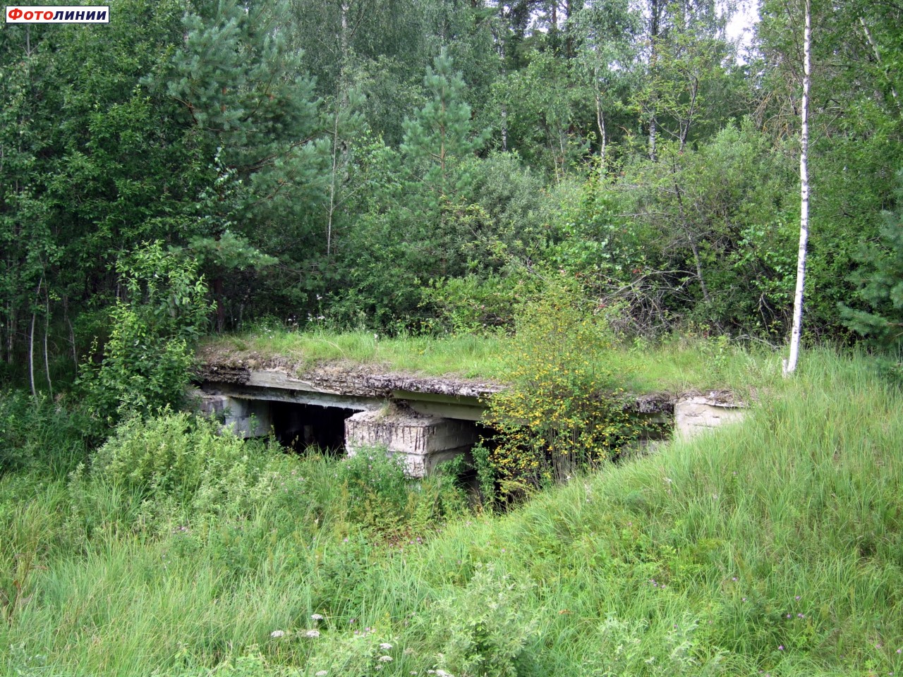 Мост бывшего подъездного пути на военную базу