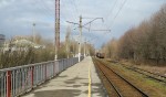о.п. 58 км (Заволжье-Пассажирское): Вид с платформы в сторону тупика