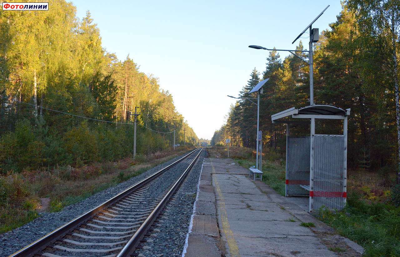 Вид с платформы в сторону Йошкар-Олы