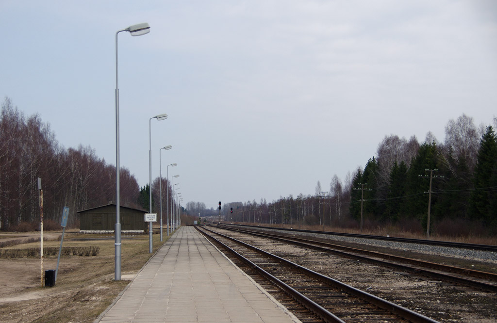 Пассажирская платформа и пути станции, вид в сторону Валга