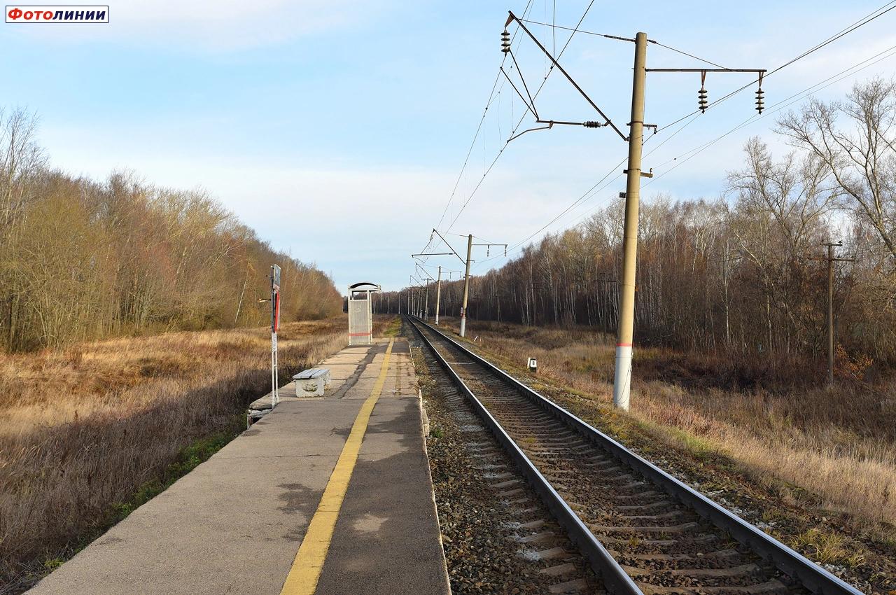 Вид с платформы в сторону Нижнего Новгорода