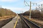 о.п. 321 км: Вид с платформы в сторону Нижнего Новгорода