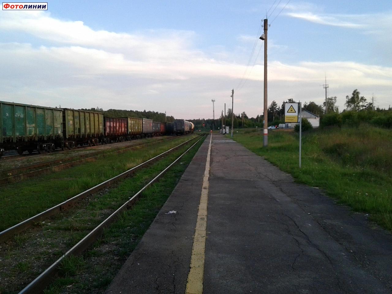 Вид в сторону станции Первомайск-Горьковский