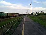 станция Берещино: Вид в сторону станции Первомайск-Горьковский