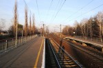 о.п. Боровская: Вид с платформы в сторону Сомово