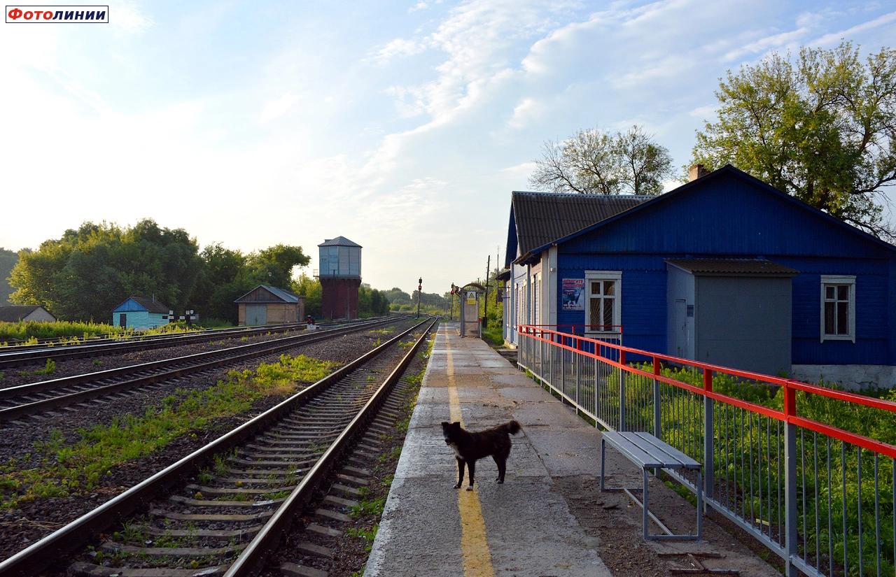 Вид в сторону Тамбова с платформы Тамбовского направления